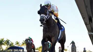 Irad Ortiz Jr. sale airoso la tarde de ayer domingo al lograr dos victorias más a su cuenta