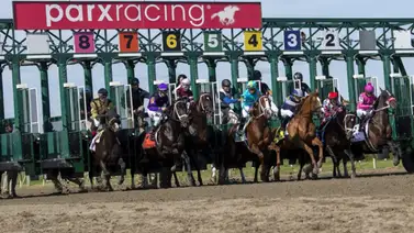 Sobrino de Richard Bracho y el Ángel de la fusta con exacta millonaria en Park Racing Sobrino de Richard Bracho y el Ángel de la fusta con exacta millonaria en Park Racing