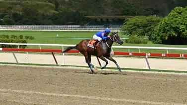 Bella Del Nilo por su primer reto en el 2025 en La Rinconada Bella Del Nilo por su primer reto en el 2025 en La Rinconada