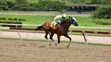 Marco Antonio regresa listo para el Clásico Inauguración “Francisco de Miranda” (G2) Marco Antonio regresa listo para el Clásico Inauguración “Francisco de Miranda” (G2)