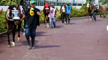 Conoce los nuevos montos en la premiación del hipódromo La Rinconada