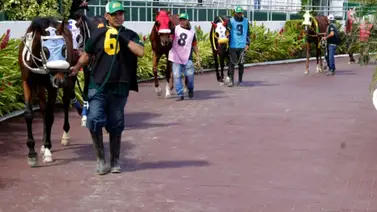 Conoce los nuevos montos en la premiación del hipódromo La Rinconada Conoce los nuevos montos en la premiación del hipódromo La Rinconada