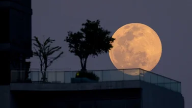 Luna de Lobo 2025: Todo sobre el Primer Plenilunio del Año y Cómo Disfrutarlo