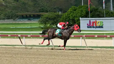 Conoce los tres últimos ejercicios de este ejemplar que de ganar puede sorprender a uno de los fijos del 2025 Conoce los tres últimos ejercicios de este ejemplar que de ganar puede sorprender a uno de los fijos del 2025