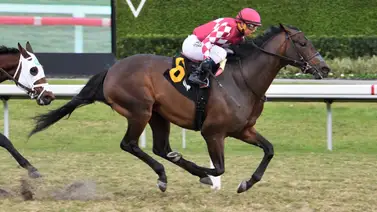 Salón de la Fama Javier Castellano se estrenó en la temporada Salón de la Fama Javier Castellano se estrenó en la temporada