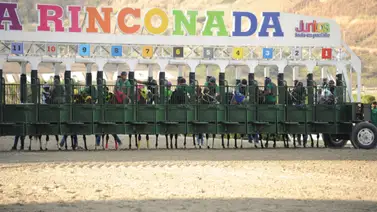 Este ejemplar debutante demuestra su calidad en los ejercicios previos a la reunión 01 Este ejemplar debutante demuestra su calidad en los ejercicios previos a la reunión 01