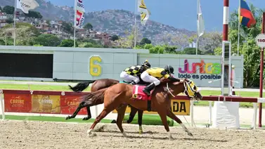 El regreso triunfal: este ejemplar puede dar la primera gran sorpresa del 2025 tras 210 días de ausencia en La Rinconada El regreso triunfal: este ejemplar puede dar la primera gran sorpresa del 2025 tras 210 días de ausencia en La Rinconada