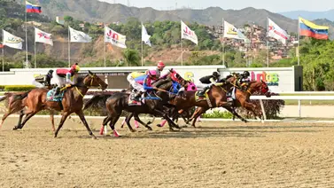 Una de las lógicas del 5y6 nacional en La Rinconada tiene ejercicios anticipados que indican que no debería fallar Una de las lógicas del 5y6 nacional en La Rinconada tiene ejercicios anticipados que indican que no debería fallar