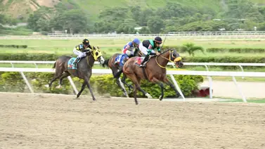 En carrera pareja esta yegua que reaparece esta lista para ganar y convertirse en batacazo En carrera pareja esta yegua que reaparece esta lista para ganar y convertirse en batacazo