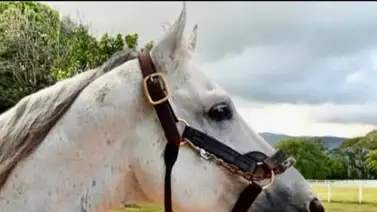 Está fue la conmovedora despedida del propietario de Constructor White Está fue la conmovedora despedida del propietario de Constructor White