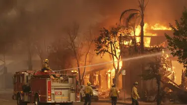 Actriz de Hollywood fallece en los incendios de California Actriz de Hollywood fallece en los incendios de California