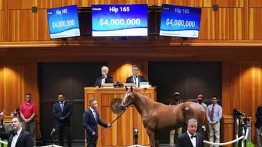 Hijo de Curlin que costó $4.000.000 hizo su primer trabajo este 14 de enero en Santa Anita Hijo de Curlin que costó $4.000.000 hizo su primer trabajo este 14 de enero en Santa Anita