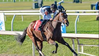 Fin de semana en la ruta al Kentucky Derby entérate de todo Fin de semana en la ruta al Kentucky Derby entérate de todo