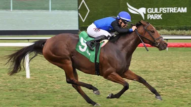 Junior Alvarado buscará está semana las 2.200 victorias en Gulfstream Park