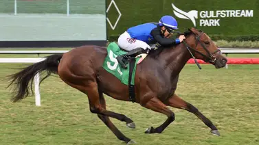 Junior Alvarado buscará está semana las 2.200 victorias en Gulfstream Park Junior Alvarado buscará está semana las 2.200 victorias en Gulfstream Park