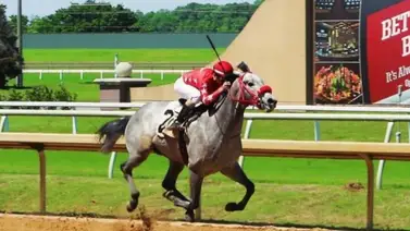 Jinete aprendiz venezolano fue distanciado Jinete aprendiz venezolano fue distanciado