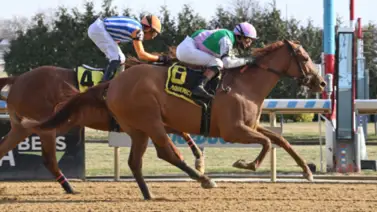 Nueva York se alista para el Busanda Stakes de $125.000 Nueva York se alista para el Busanda Stakes de $125.000