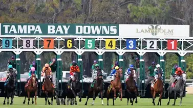 Pick3 criollo en Tampa Bay abonó $56.85 en la taquilla Pick3 criollo en Tampa Bay abonó $56.85 en la taquilla