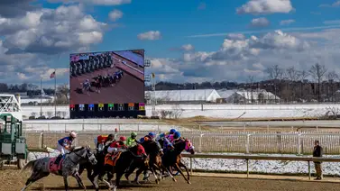 Nuestro posible Eclipse como jinete aprendiz debutará esta temporada Nuestro posible Eclipse como jinete aprendiz debutará esta temporada