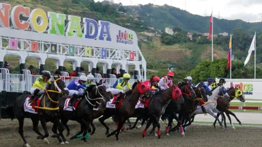 Salida de los ejemplares del aparato en La Rinconada