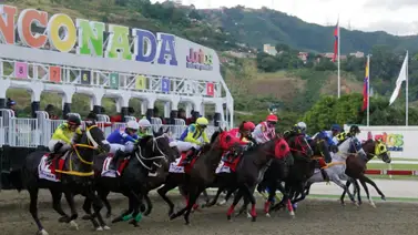 Salida de los ejemplares del aparato en La Rinconada Salida de los ejemplares del aparato en La Rinconada