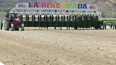 Este ejemplar tronó en su ajuste y busca sorprender en el Clásico Inauguración “Francisco de Miranda (G2) Este ejemplar tronó en su ajuste y busca sorprender en el Clásico Inauguración “Francisco de Miranda (G2)