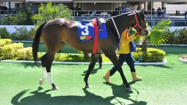 Conoce el trabajo contenido de este ejemplar que busca sorprender a los favoritos en carrera de muchos datos Conoce el trabajo contenido de este ejemplar que busca sorprender a los favoritos en carrera de muchos datos