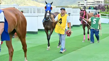 Como trabajó este debutante debería meter un poste en el 5y6 de La Rinconada Como trabajó este debutante debería meter un poste en el 5y6 de La Rinconada