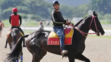 Otro aprendiz formado en Punto Fijo hace su estreno en La Rinconada Otro aprendiz formado en Punto Fijo hace su estreno en La Rinconada