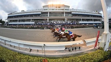 Las carreras de caballos podrían tener los días contados en Gulfstream Park