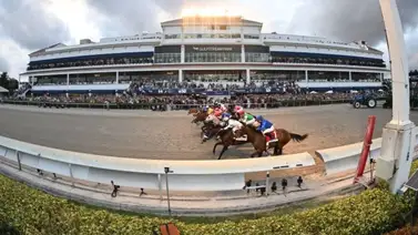 Las carreras de caballos podrían tener los días contados en Gulfstream Park Las carreras de caballos podrían tener los días contados en Gulfstream Park