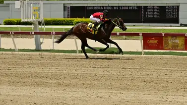 Waya Waya en la arena de La Rinconada. Waya Waya en la arena de La Rinconada.