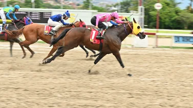 Mr. Estricto en una carrera en La Rinconada.