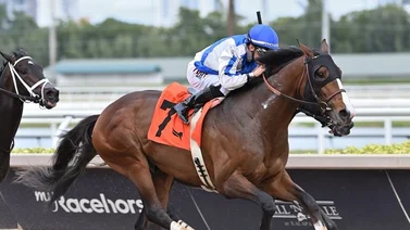 Venezolanos generan último Pick 3 en Gulfstream Park que paga más de $100