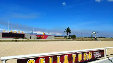 Datos de última hora para el Hipódromo Nacional de Valencia 18-1-2025 Datos de última hora para el Hipódromo Nacional de Valencia 18-1-2025