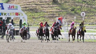 Ejemplares en carrera en La Rinconada.