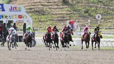 Ejemplares en carrera en La Rinconada. Ejemplares en carrera en La Rinconada.