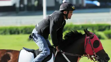Johan Aranguren indica la primera línea de la temporada en el 5y6 nacional en La Rinconada (+Video) Johan Aranguren indica la primera línea de la temporada en el 5y6 nacional en La Rinconada (+Video)