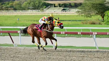 Jinete en plena carrera en La Rinconada. Jinete en plena carrera en La Rinconada.