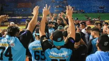 LVBP: Bravos tiene tres candidatos de refuerzo para la gran final LVBP: Bravos tiene tres candidatos de refuerzo para la gran final