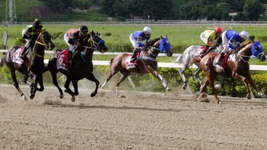 Ejemplares en carrera en La Rinconada.