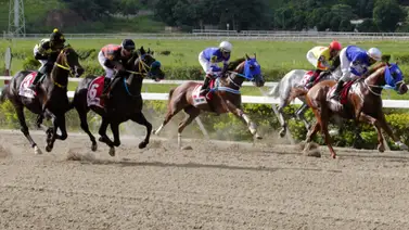 Ejemplares en carrera en La Rinconada. Ejemplares en carrera en La Rinconada.