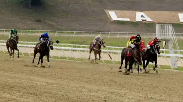 Ejemplares en plena carrera en La Rinconada. Ejemplares en plena carrera en La Rinconada.