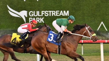 El hipismo internacional se apuesta en MeridianoBet
