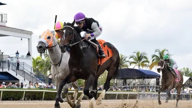 Junior Alvarado ahora pertenece al club de los jockeys con 2,200 victorias en Estados Unidos