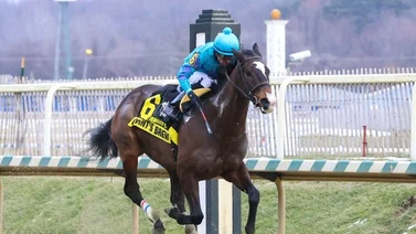 Mychel Sánchez se lleva dos Stakes este 18 de enero en Laurel Park
