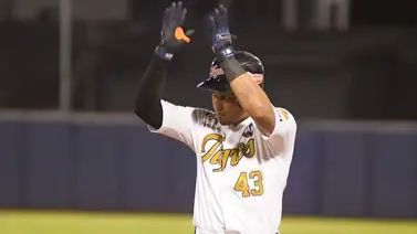 LVBP: Lorenzo Cedrola seleccionado por Bravos de Margarita debido a estos contundentes números LVBP: Lorenzo Cedrola seleccionado por Bravos de Margarita debido a estos contundentes números