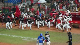 LIDOM: Tigres y Leones reviven la rivalidad capitalina (+historial)
