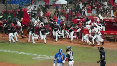 LIDOM: Tigres y Leones reviven la rivalidad capitalina (+historial) LIDOM: Tigres y Leones reviven la rivalidad capitalina (+historial)