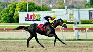 MeridianoBet te espera en la jornada dominical de La Rinconada
